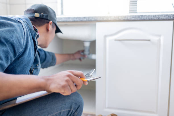 Best Residential Plumbing Services  in Farmington, IL