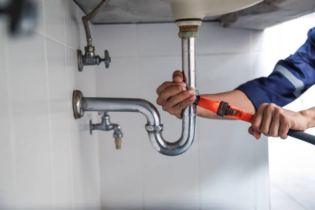 Best Clogged Drain Plumber  in Farmington, IL