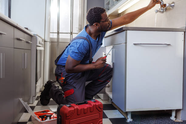 Best Commercial Plumbing Services  in Farmington, IL