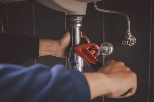 Best Local Plumber Services  in Farmington, IL